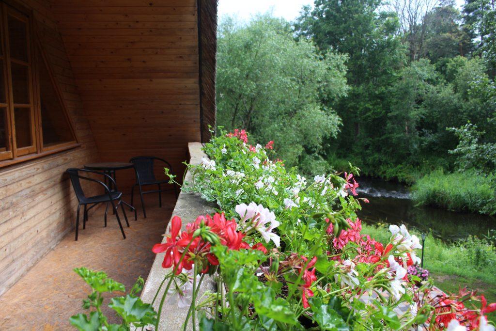 Viesu Nams Barzi Hotel Tinuzi Kültér fotó